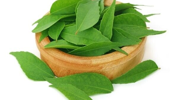 Onion for premature hair greying