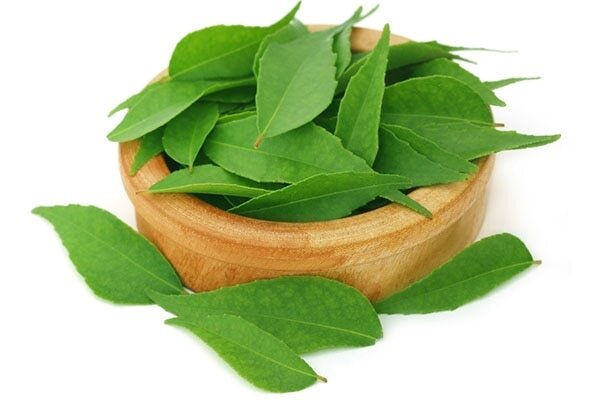 Onion for premature hair greying