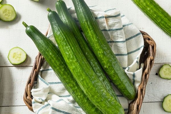 Cucumber