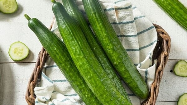 Cucumber