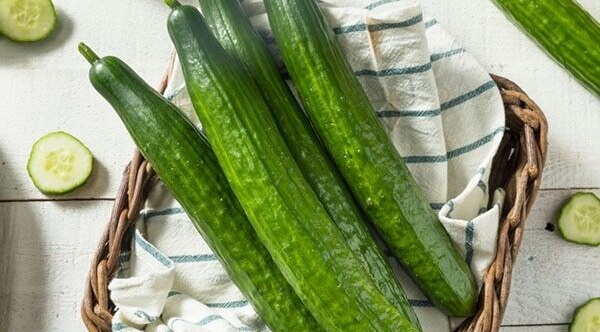 Cucumber