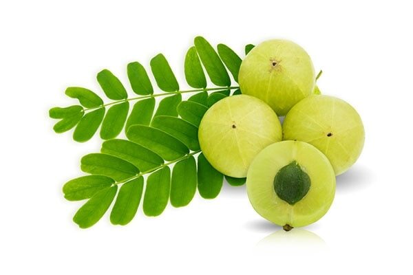Olive oil