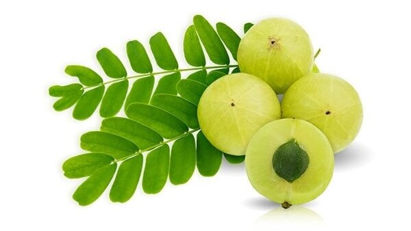 Olive oil