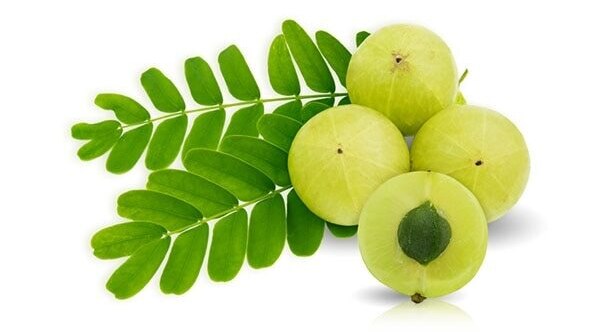 Olive oil