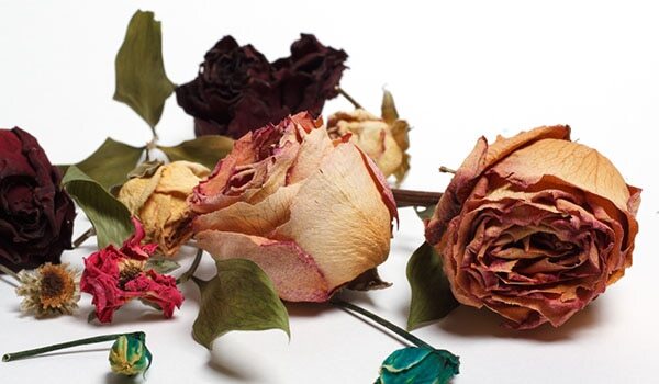 8 Home Remedies To Treat Dry Skin