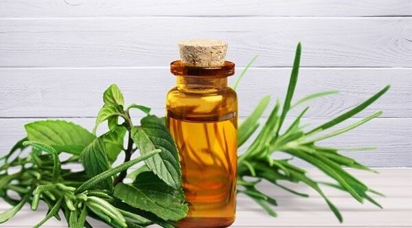 Application For Oily Hair