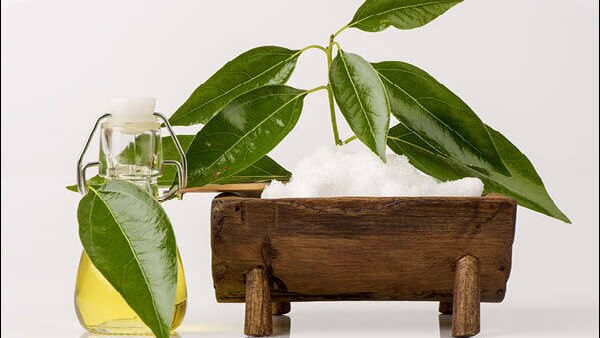 FAQs about Hair Growth Oil