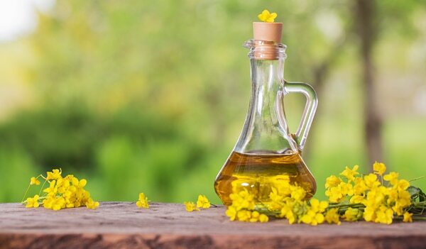 12 Canola Seeds Benefits For A Healthy Lifestyle