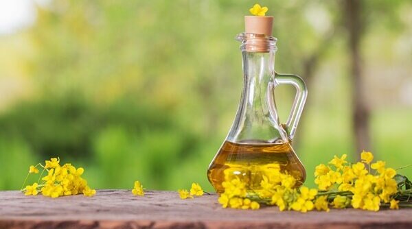 12 Canola Seeds Benefits For A Healthy Lifestyle