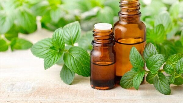 FAQs about Hair Growth Oil