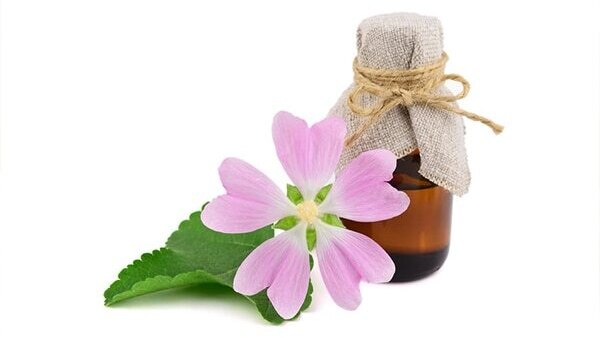 FAQs about Hair Growth Oil