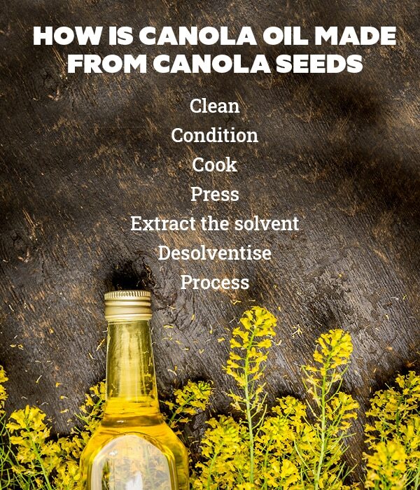 Canola seeds benefits 12: Controls frizz