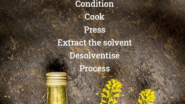 Canola seeds benefits 12: Controls frizz