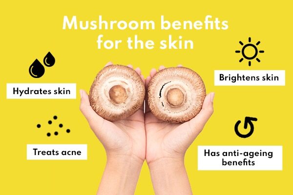 FAQs about mushroom benefits for skin, hair and health :