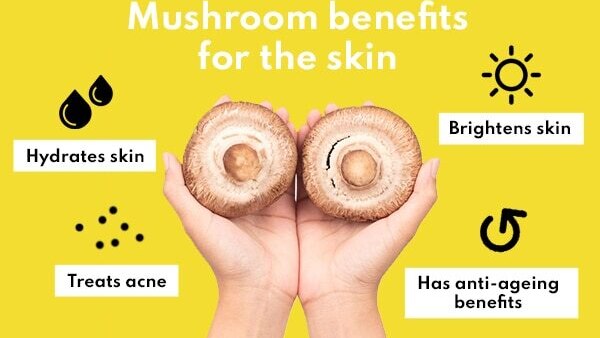 FAQs about mushroom benefits for skin, hair and health :