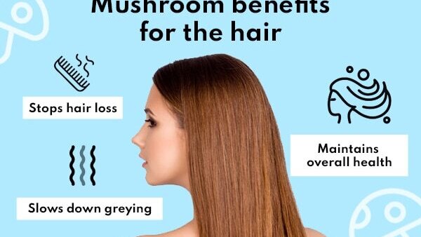 FAQs about mushroom benefits for skin, hair and health :