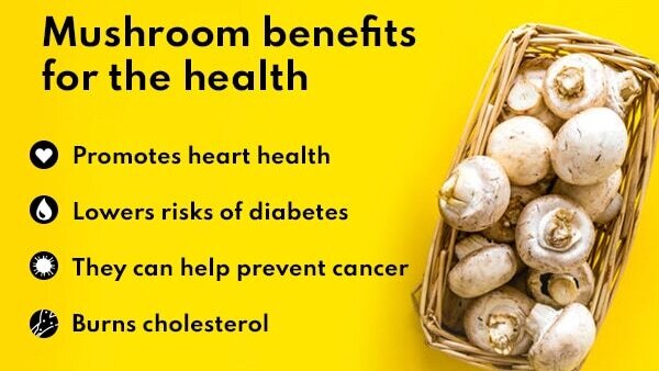 FAQs about mushroom benefits for skin, hair and health :