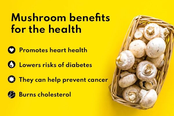 FAQs about mushroom benefits for skin, hair and health :