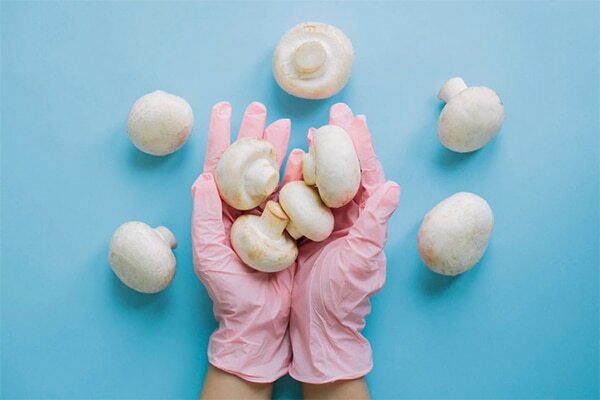 FAQs about mushroom benefits for skin, hair and health :