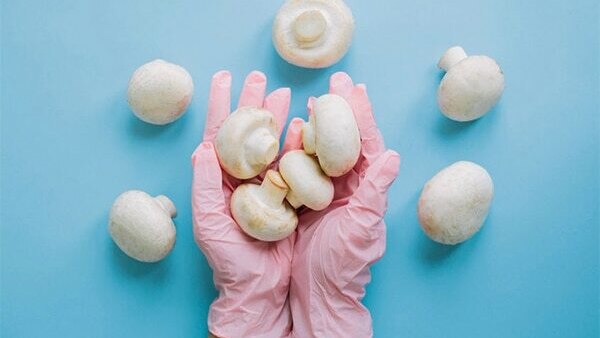 FAQs about mushroom benefits for skin, hair and health :