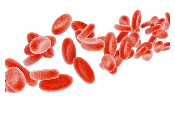 May prevent diabetes