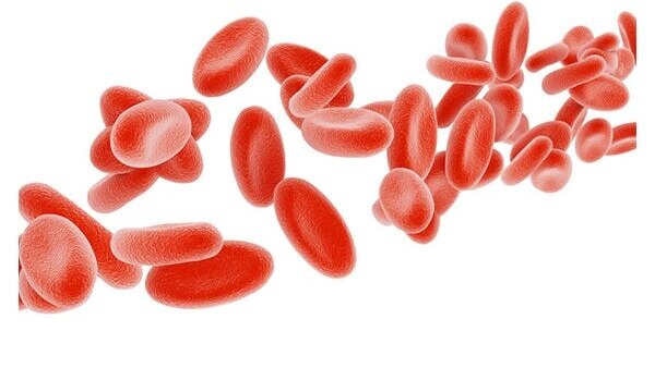 May prevent diabetes