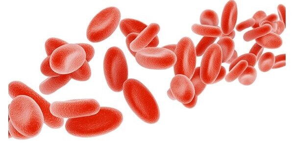 May prevent diabetes