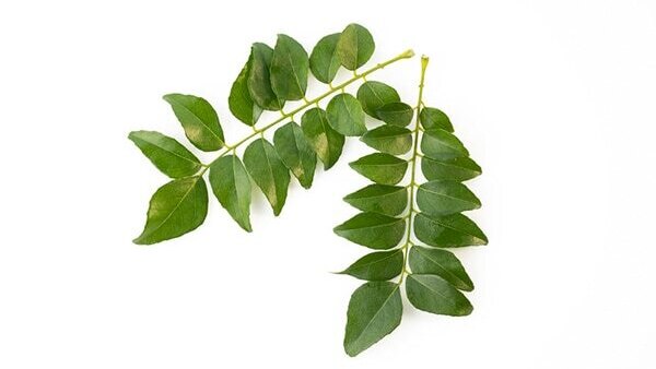 FAQs: Home remedies for white hair