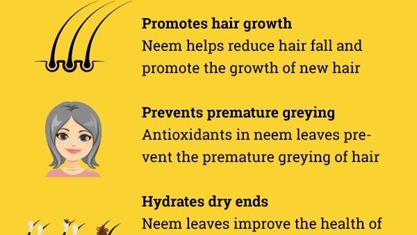 FAQ on benefits of neem leaves
