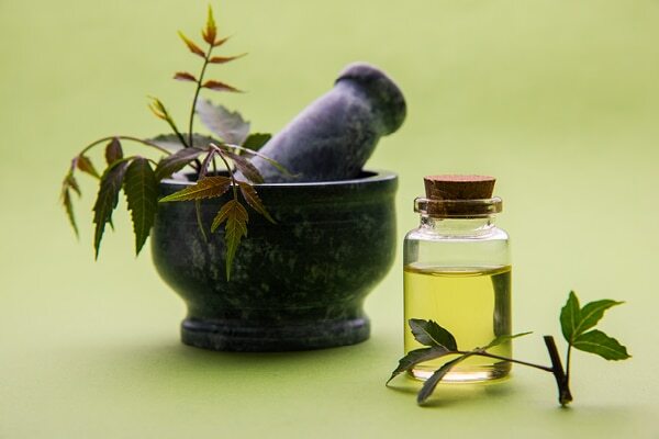 FAQ on benefits of neem leaves