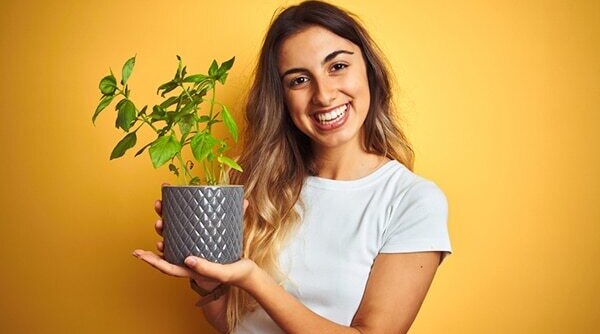 Tulsi Benefits Your Skin And Hair In More Ways Than One… Find Out How!