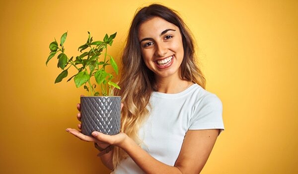 Tulsi Benefits Your Skin And Hair In More Ways Than One… Find Out How!