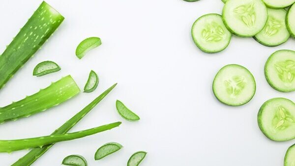 DIY aloe vera and cucumber toner