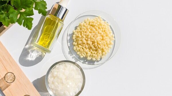 Candelilla Wax: Everything You Need To Know About This Unsung Anti-Ageing Hero
