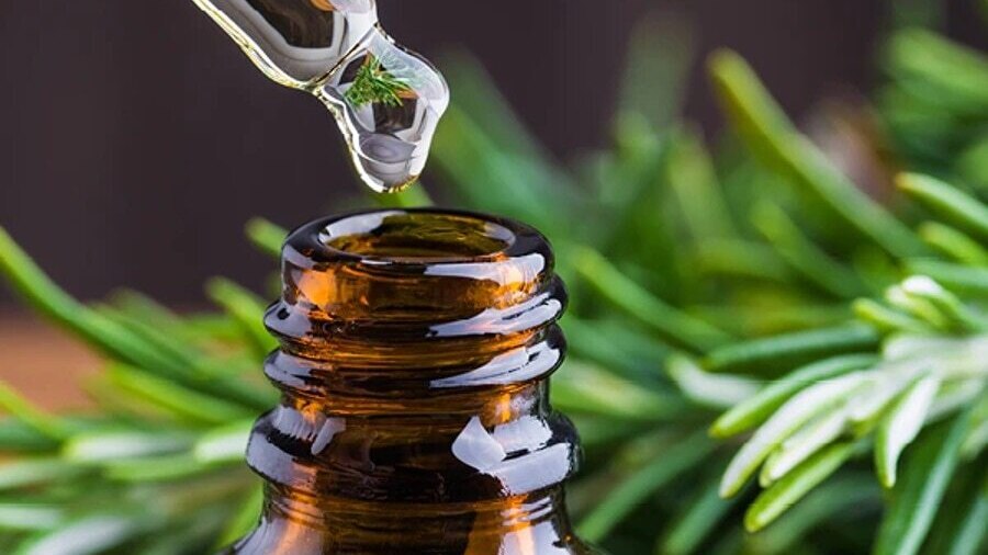 Rosemary Oil