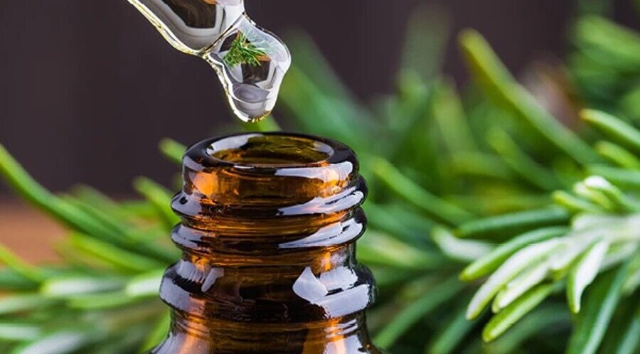 Rosemary Oil
