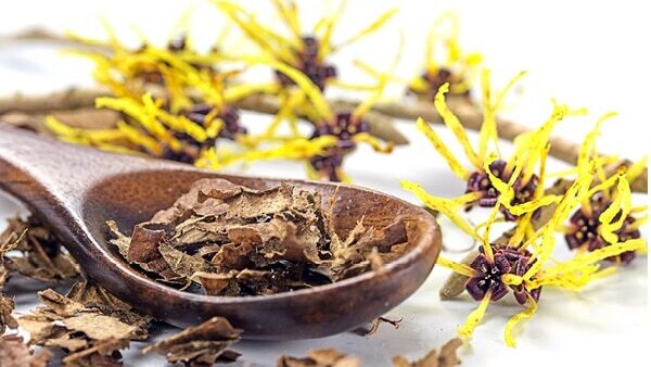 How to use witch hazel to treat acne?