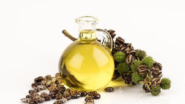04. Olive oil