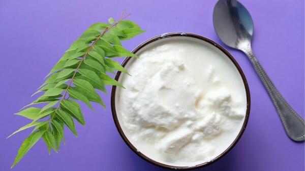 3. Curd + curry leaves hair mask