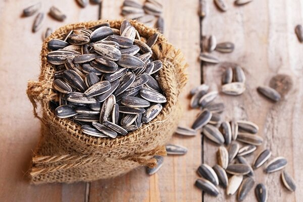 FAQs about Calcium-Rich Foods