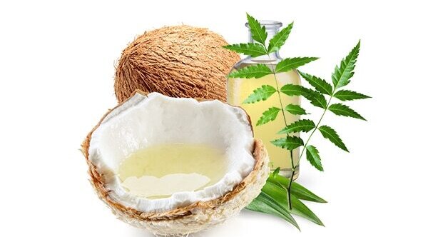 What you need to prepare a DIY neem hair mask:
