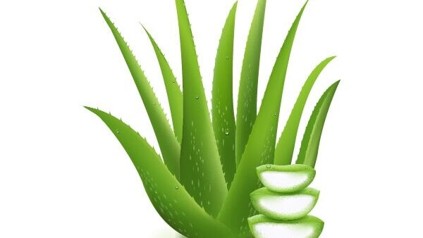 Skin and Throat Irritation