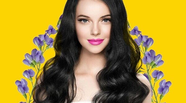 How To Apply And Use Indigo Powder To Colour Hair