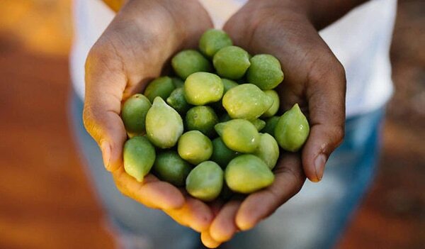 Kakadu Plum Is The Vitamin C Powerhouse Ingredient Your Skin Needs Rn!