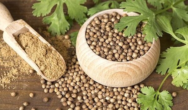 4 Ways You Can Use Coriander Seeds For A Beautiful Skin