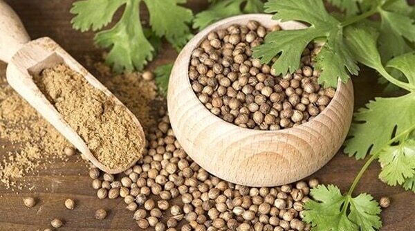 4 Ways You Can Use Coriander Seeds For A Beautiful Skin