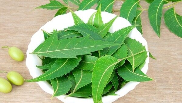 Turmeric face mask with neem