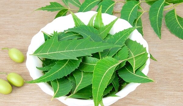 7 Reasons Why Neem Is A Wonder Ingredient For Your Skin…
