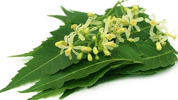 7. To relieve muscle and joint pain