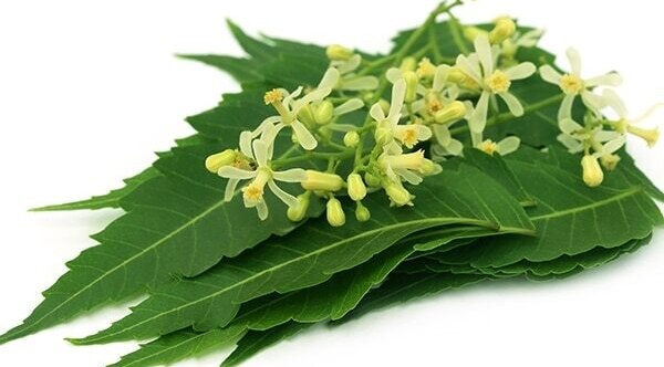 7. To relieve muscle and joint pain